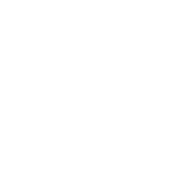 Social Icon